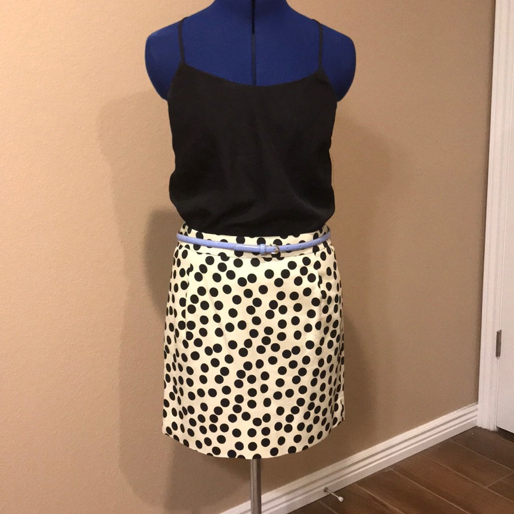 J Crew lined skirt